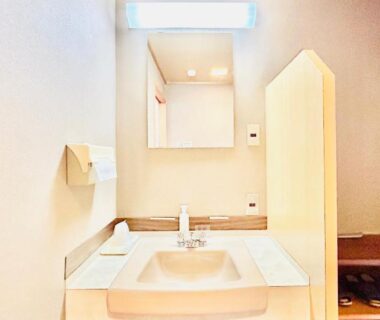 Compact sink and mirror with wooden shelf and partition at Sunrise Katsuura, Wakayama