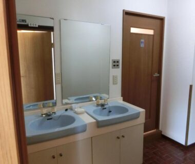 Double sink vanity and mirror in ryokan bathroom area at Suzukisou, Kyoto, Kansai