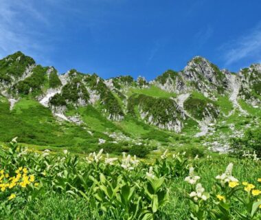 Green alpine slopes and wildflowers with rocky peaks near Suzuranso in Chūbu Nagano