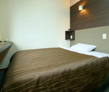 Compact room with western bed, brown bedding, wall light and small desk at Tabist Hotel Seishokan Shizuoka