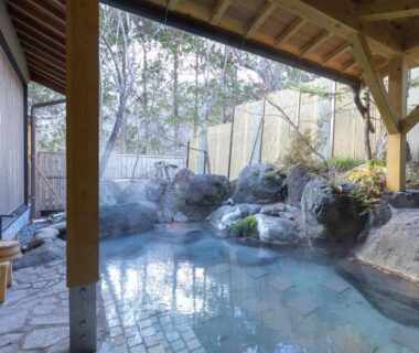 Covered rock onsen with wooden roof and bamboo fence at Tabist Kazeyuki, Gifu, Chūbu