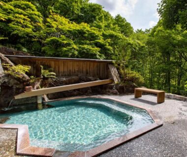 Outdoor onsen bath with wooden bench and stone edge surrounded by lush forest at Tabist Senshintei, Fukushima