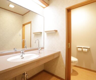 Vanity sink with mirror and adjoining toilet room behind door at Taiheikan Yamanashi