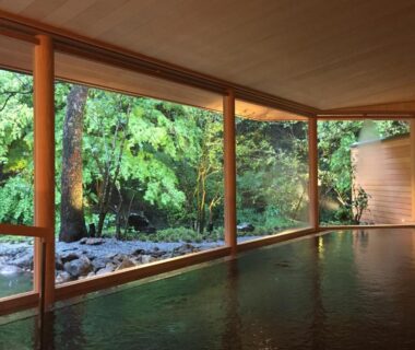 Wood-lined indoor onsen facing a riverside garden through floor-to-ceiling windows at Taishoya, Saga