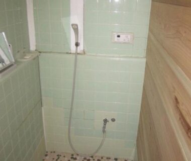 Small tiled shower with handheld showerhead, green wall tiles, pebble mosaic floor and wooden partition at Taito Ryokan Tokyo