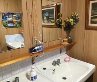 Shared washbasin with dual sinks, mirrors, wall-mounted hairdryer and vase on wooden-paneled wall at Tajimaya in Gifu