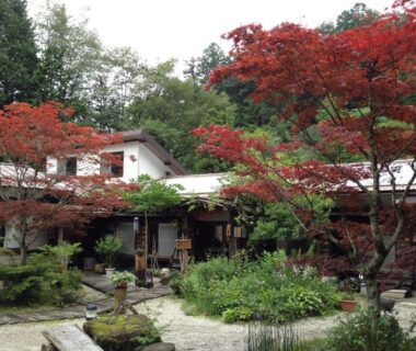 Traditional ryokan courtyard with red maple trees and stone path at Takimi Onsen Inn Nagano