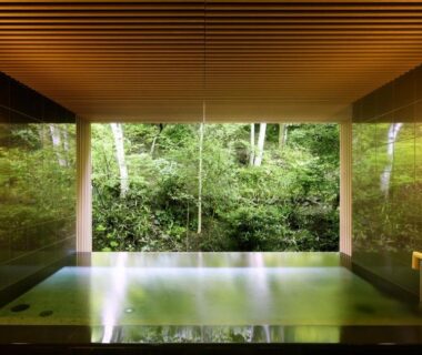 Indoor onsen pool with wood-paneled ceiling overlooking lush forest at Tateshina Grand Hotel Takinoyu, Nagano