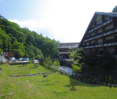 Grassy courtyard with multi-story wooden ryokan building set against a forested hillside in Nagano's Chūbu region