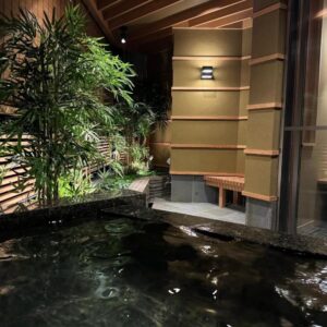 Indoor stone onsen bath with plants and wooden screens at Tatsumikan in Gunma