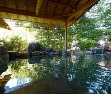 Stone-lined covered onsen bath surrounded by lush greenery at Tatsumikan in Gunma