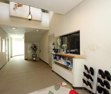 Carpeted corridor with reception counter, slippers rack and floral arrangement at Teiensaryo Yamanakako, Yamanashi