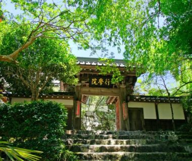 Traditional wooden gate and mossy stone steps among green trees at Temple Lodging Shukubo Kakurinbo, Yamanashi