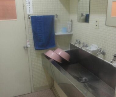 Long stainless steel sink with multiple faucets, mirrors, pink washbasins and towel at Tenryu Ryokan, Hiroshima