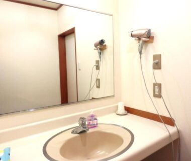 Compact bathroom vanity with beige sink, wall-mounted hairdryer, mirror and toiletries at Tenryuso in Chiba Kantō