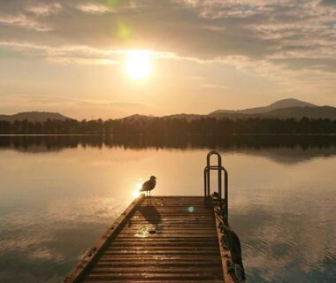 Wooden pier over calm lake at sunrise with bird on railing and distant hills near Amanohashidate Kyoto