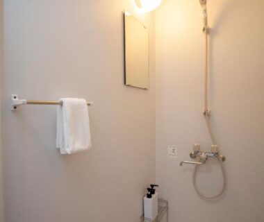 Compact ryokan shower area with handheld shower, mirror, towel rack and wall-mounted soap dispensers