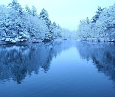 Winter lake with snow-covered trees reflected, calm waters near Tsuruya Ryokan in Nagano