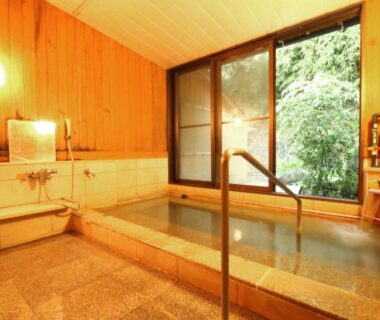 Wood-paneled indoor onsen bath at Usuki Yunosato with tiled tub and greenery view in Ōita, Kyūshū