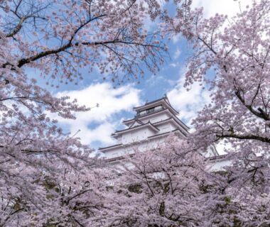 Cherry blossoms framing a castle tower near Villa Inawashiro in Fukushima, Tōhoku