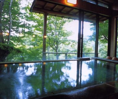 Indoor onsen bath framed by floor to ceiling windows overlooking green forest at Wakaki Ryokan Tochigi