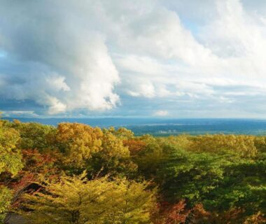 Panoramic autumn tree canopy and distant horizon at Wakaki Ryokan Nasu Yumoto Onsen, Tochigi prefecture, Kantō, Japan