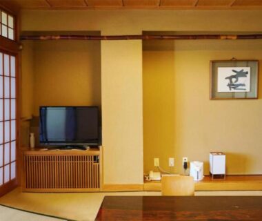 Traditional tatami room with low table, shoji screens, TV cabinet and framed artwork at Wakaki Ryokan, Tochigi