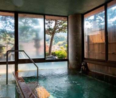 Indoor onsen bath with wooden panels, handrail and garden view through large windows