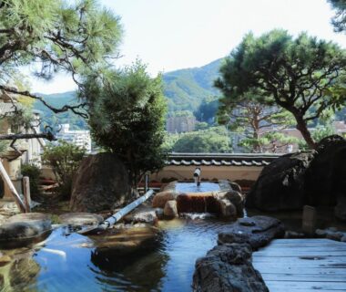 Wakamatsu HakoneYugawara