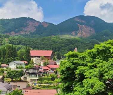 Village rooftops and forested mountains surrounding Wakamatsuya in Tohoku, Yamagata