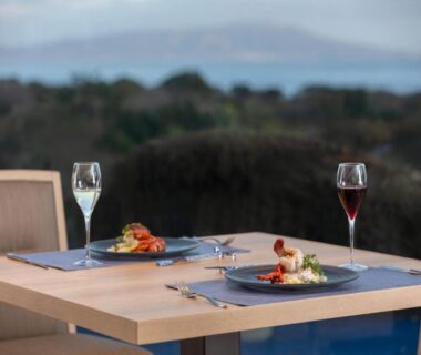 Outdoor dinner table with wine glasses and plated meals at Wan Wan Paradise Premier Izukogen, Shizuoka coast