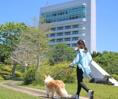 Woman walking a large dog on grassy resort grounds at Wan Wan Paradise Premier Nanki Shirahama, Wakayama