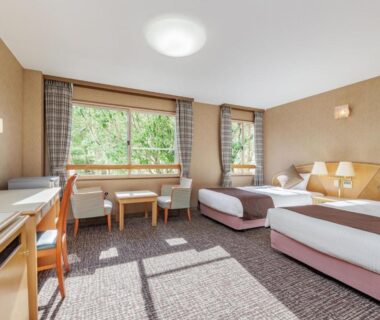 Sunlit twin beds and seating area with garden view at Wan Wan Paradise Premier Shiobara in Tochigi, Kantō, Japan