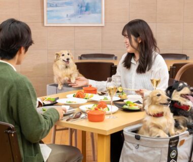 Guests dining with small dogs at a low table in an indoor dining room at Wan Wan Paradise Premier