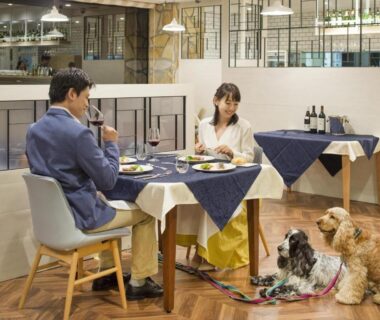 Couple having meal with two dogs at Wan Wan Paradise Premier Yamanakako in Yamanashi