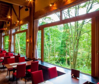 Dining room with floor-to-ceiling windows overlooking lush forest, Wan Wan Paradise Takayama, Gifu