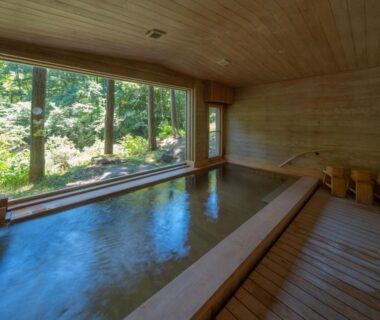 Wood-lined indoor onsen with garden view at Wanosato in Gifu Prefecture, Chubu