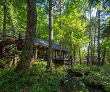 Wooden waterwheel and raised ryokan deck beside a shaded pond in a verdant forest at Wanosato, Gifu