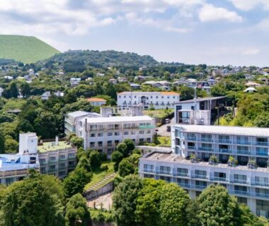 Aerial view of terraced ryokan buildings on a verdant hillside with trees and a distant mountain in Shizuoka