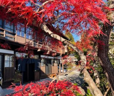 Red maple tree framing wooden ryokan facade and stone path in Nagano
