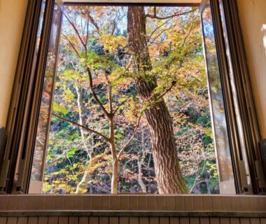 Window opening onto autumn trees, view from Yama no Ie in Tochigi, Kantō