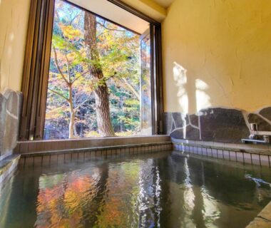 Indoor stone onsen with window view of trees at Yama no Ie, Tochigi