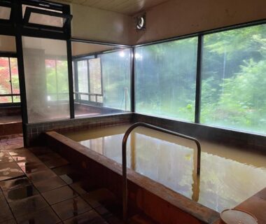 Indoor onsen bath with handrail and large windows overlooking forest at Yama no Yado Meiji Onsen, Nagano