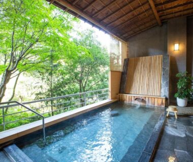 Onsen bath with wooden roof and garden view at Yamagataya, Chubu Gifu, Japan