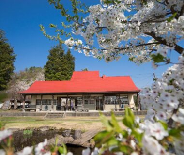 Red-roofed ryokan building framed by cherry blossoms, garden and small pond at Yamagataya in Fukushima, Tōhoku
