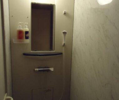 Compact shower stall with handheld shower, mirror, wall-mounted toiletries and grab bar at Yamagisi Ryokan in Yamanashi