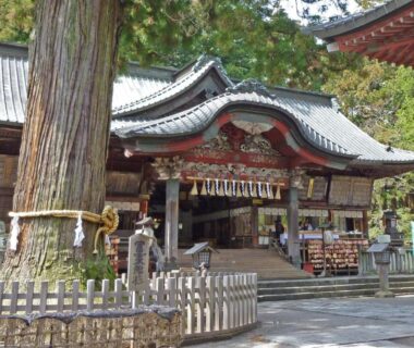 Ornate shrine building with shimenawa and large cedar tree near Yamagisi Ryokan in Yamanashi, Chūbu, Japan