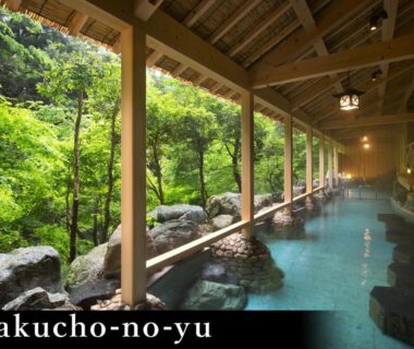 Covered wooden onsen bath overlooking forest at Yamanaka Onsen Kagari Kisshotei in Ishikawa Chubu