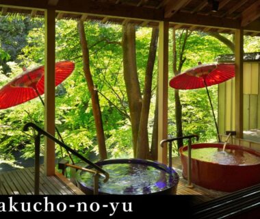 Wooden round baths on veranda overlooking lush garden at Yamanaka Onsen Kagari Kisshotei Ishikawa Japan