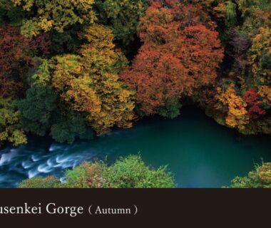 Aerial view of autumn foliage along Kakusenkei Gorge river near Yamanaka Onsen Kissho Yamanaka in Ishikawa, Chūbu